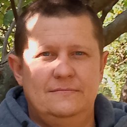 ������, ������ �����, 37 ���