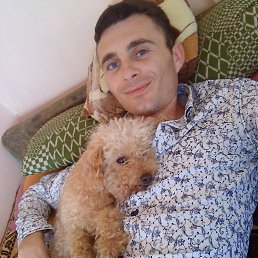 ����� �������, 37 ���, ������