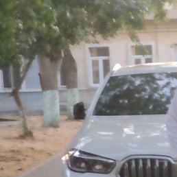 ������, ����������, 43 ����