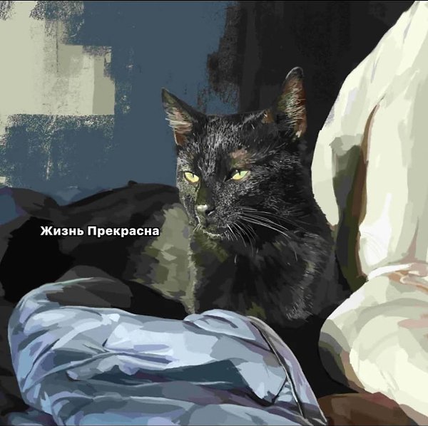 :) В жизни Алёнки всё было наперекосяк. Билеты на экзаменах непременно с теми вопросами, которые она ...