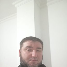 , 37 , 