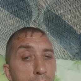 , 43 , 