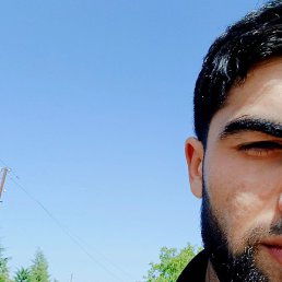 �����, �����-���������, 23 ����