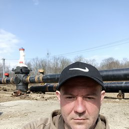 ������, 38 ���, ���������