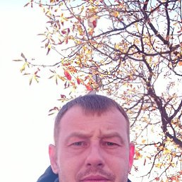 ������, 36 ���, ������