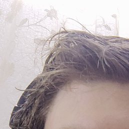 ˸��, ������, 21 ���