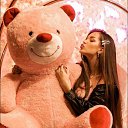 ���� ����, ���������� - ��������� 29 ������� 2024 � ������ ���� ����������
