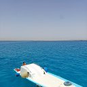 ���� �������, ������ ��������, 49 ��� - ��������� 14 ������� 2025