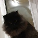 ���� �������, �������� - ��������� 13 ������ 2025 � ������ ������ ��������