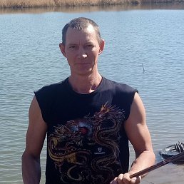 , 40, 