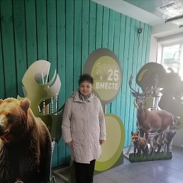 ������, ����������