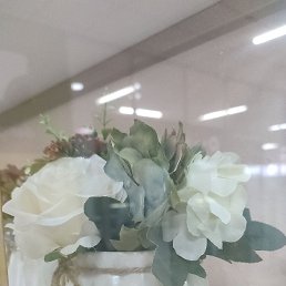 ���� ����, ���������, 49 ��� - ��������� 27 ������� 2024