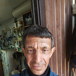 , 46 , 