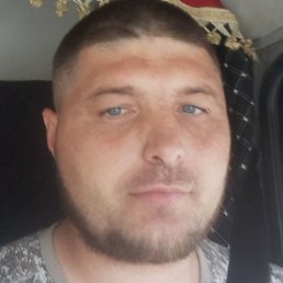 ����������, �����, 37 ���