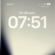 ���������, 38 ���, ������
