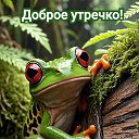   ))  !!!, , 70  -  23  2025    