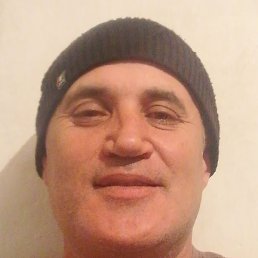 ������, ���������, 48 ���