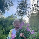 ���� �����, �����-���������, 55 ��� - ��������� 23 ����� 2026