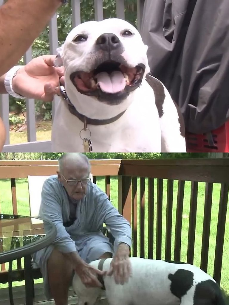       ,   86-      ... - 2