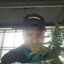 ����� ����������. ����������