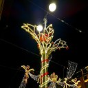  Gina Smirnova, -, 46  -  6  2025    