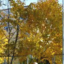 ���� ������, �����-��������� - ��������� 28 ������� 2024 � ������ ���� ����������