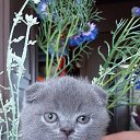 ���� ������, ����������� - ��������� 5 ������� 2025 � ������ ������ ��������