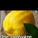 ���� �������, ������ ��������, 59 ��� - ��������� 22 ������� 2026 � ������ ���� ����������