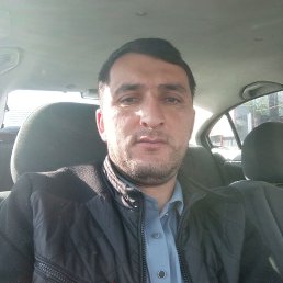 , 32, 