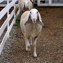 ���� ������, ������������, 55 ��� - ��������� 14 ������ 2026 � ������ ������ ��������