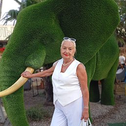  , 67, 