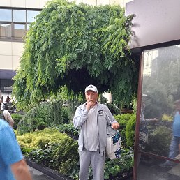 , 58, 