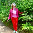 ���� ������, ����, 71 ��� - ��������� 23 ���� 2025 � ������ ���� ����������