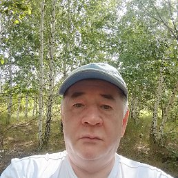 , 52, 