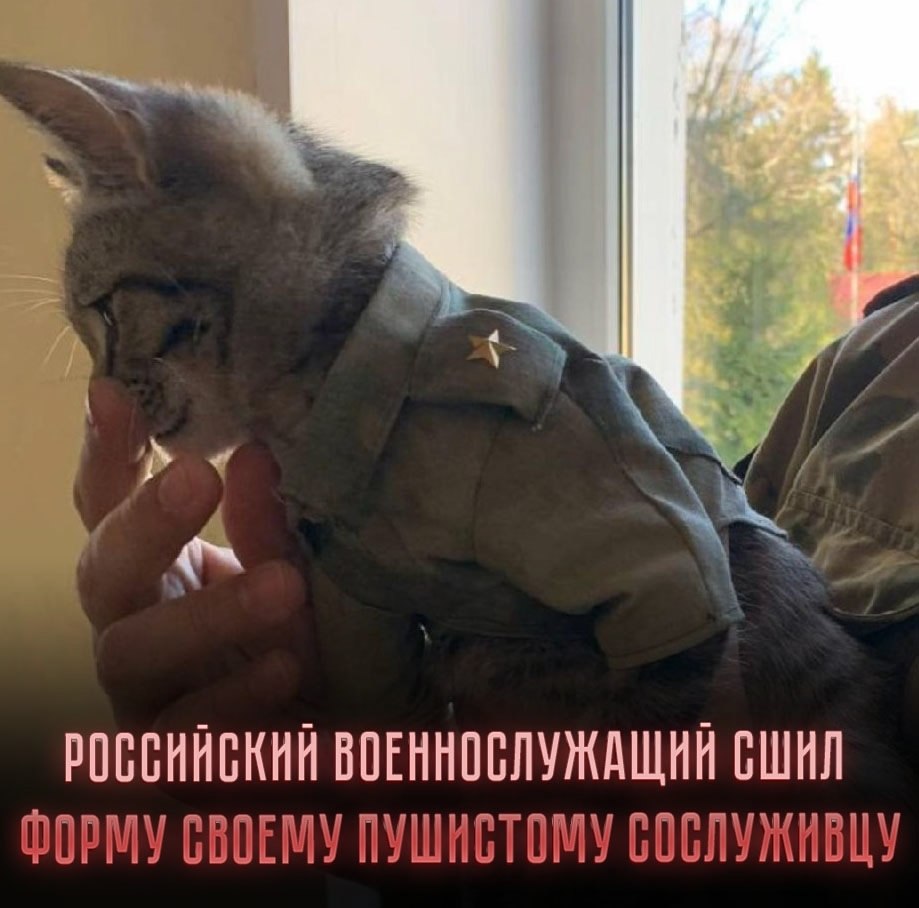   ,      ,      .    ...