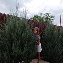 ���� ����, �����������, 43 ���� - ��������� 27 ������� 2023 � ������ ���� ����������