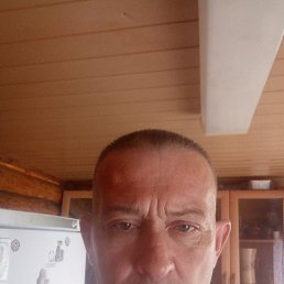 , 41 , 