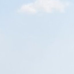 �������, �����-���������, 44 ����