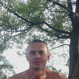 , 33, 