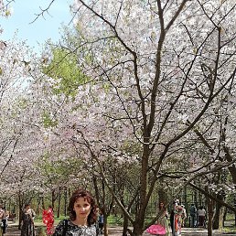 �����, ������, 50 ���