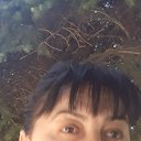 ���� ������, ������, 55 ��� - ��������� 15 ������ 2026 � ������ ���� ����������