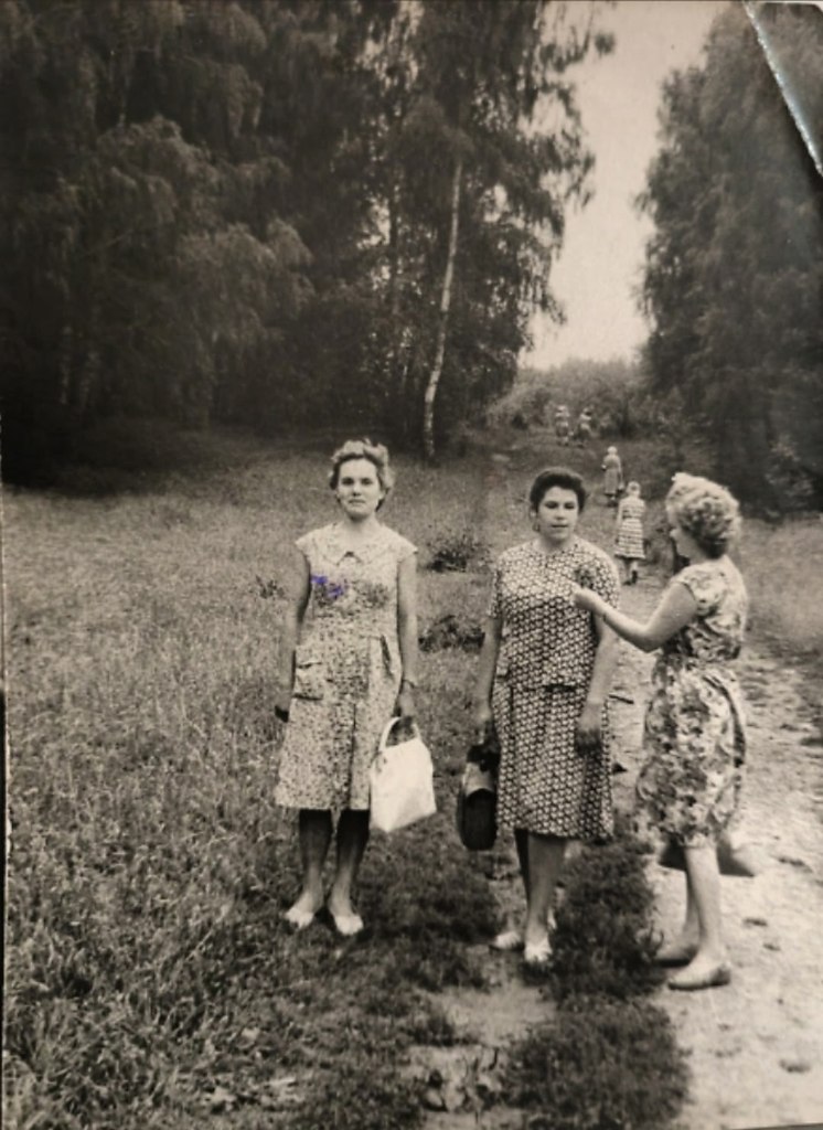 1964 .  .   .