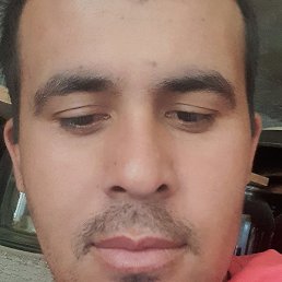 �����, �������, 35 ���