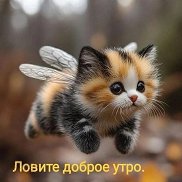 ����, 38 ���, ������
