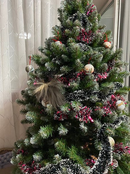 ������ �������, �� ������� � ������� - 5