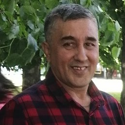, 53 , 