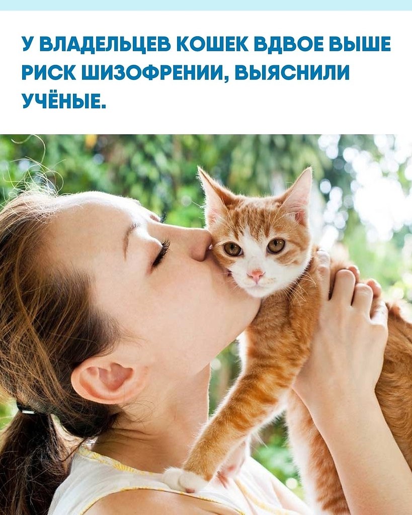 e cao c e coepae oe  oe pco pa ope. ...