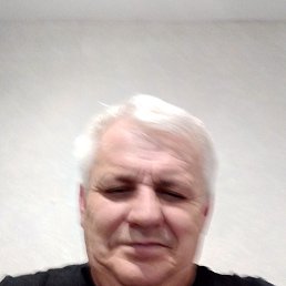 , 56, 