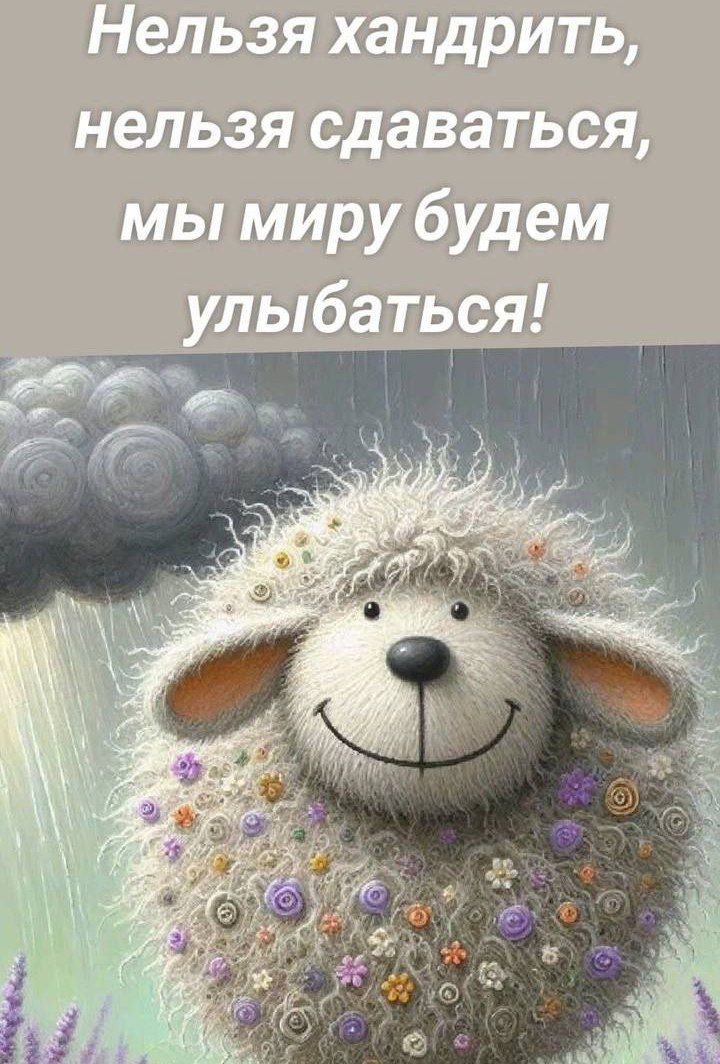  - 29  2024  16:08