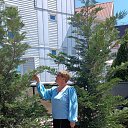 ���� ��������, ���������, 52 ���� - ��������� 25 ��� 2025